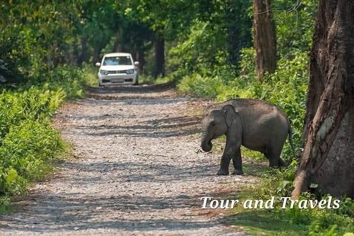 About Bonpahari Tour And Travels